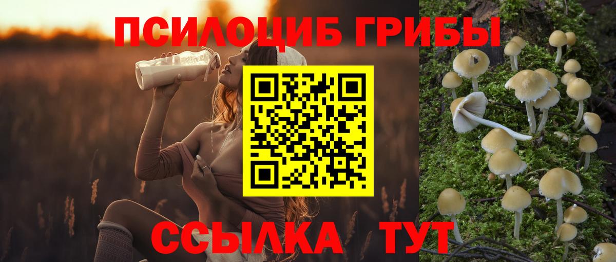 Галлюциногенные грибы GOLDEN TEACHER  Вход с VPN  Чебаркуль 